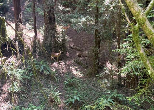 Property at 584 Hazel Dell Rd, Watsonville, CA 95076