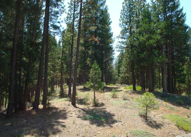 Property at 976 Moon Shadow, Portola, CA 96122