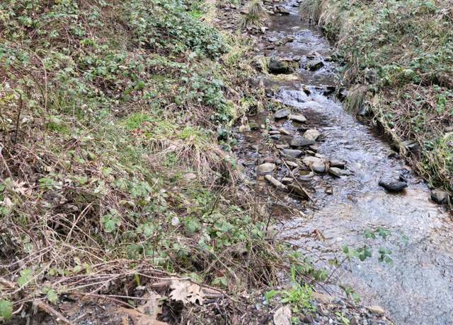 Property at 3179 Independence Rd, Mokelumne Hill, CA 95245