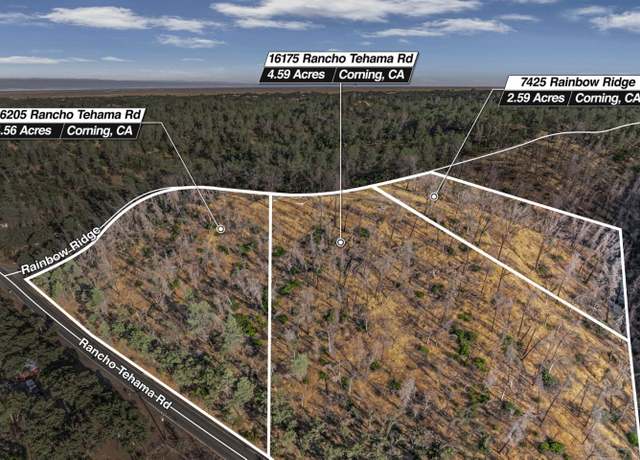 Property at 16175 Rancho Tehama Rd, Corning, CA 96021
