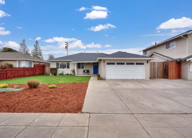 Cambrian Park Real Estate