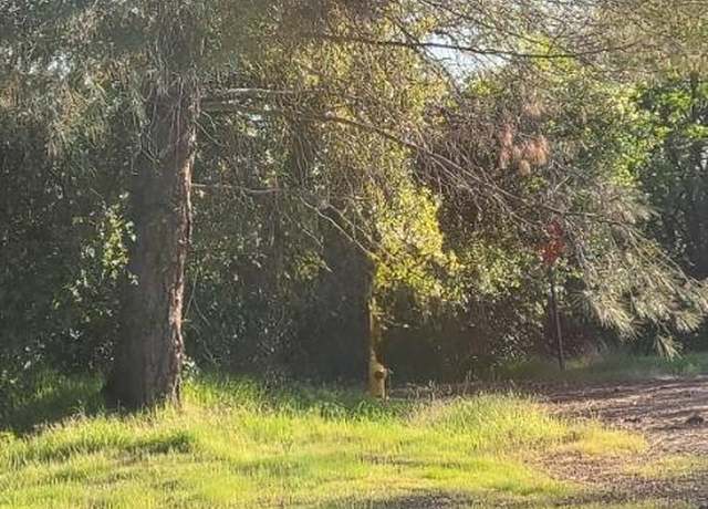 Property at 10470 Chicharra Ct, Coulterville, CA 95311