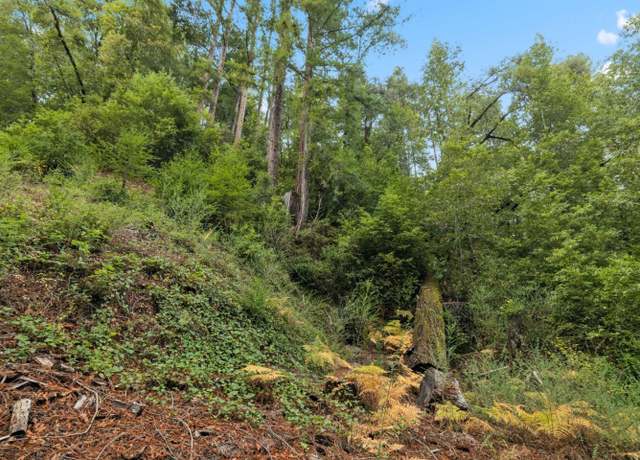 Property at 0 Hillside Dr, Boulder Creek, CA 95006