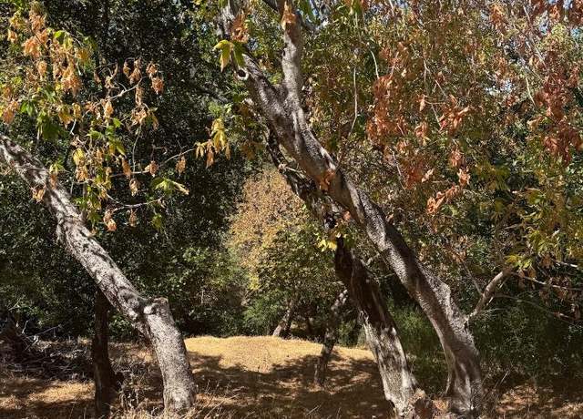 Property at 0 Palomar, Redwood City, CA 94062