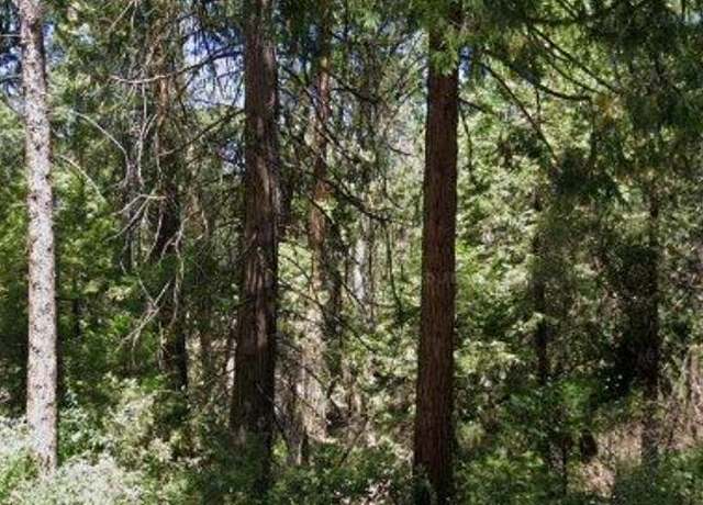 Property at 166 Higdon Rd, West Point, CA 95255