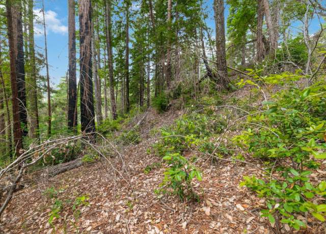 Property at 03 Bloom Grade, Boulder Creek, CA 95006