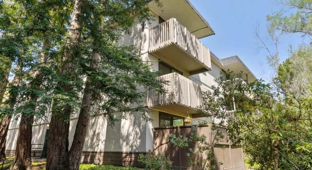 Photo of 1222 Shelter Creek Ln, San Bruno, CA 94066