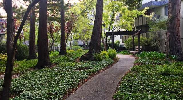 Photo of 2323 Shelter Creek Ln, San Bruno, CA 94066