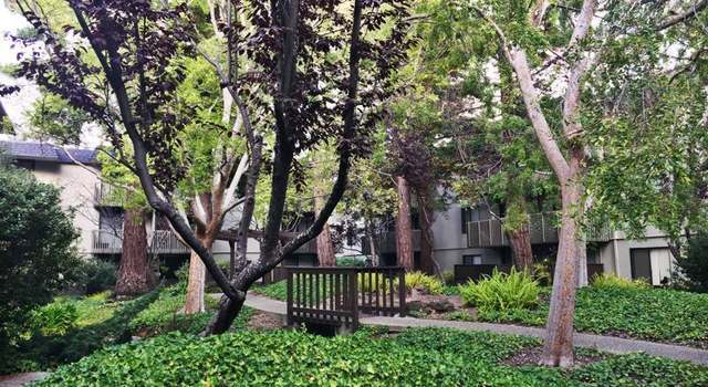 Photo of 2323 Shelter Creek Ln, San Bruno, CA 94066