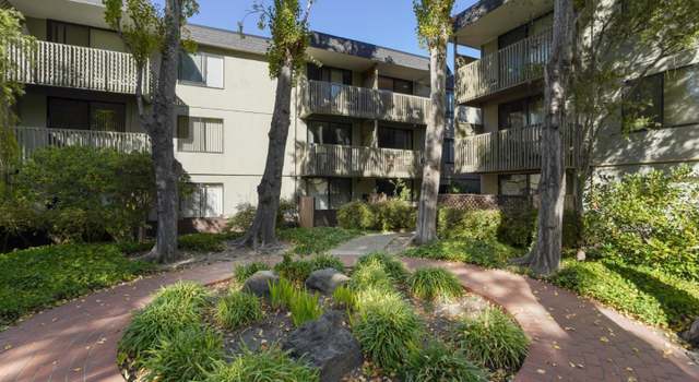 Photo of 5344 Shelter Creek Ln #5344, San Bruno, CA 94066