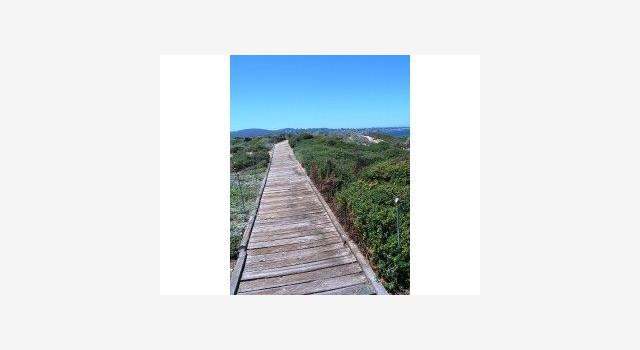 Photo of 0 Spray, Monterey, CA 93940