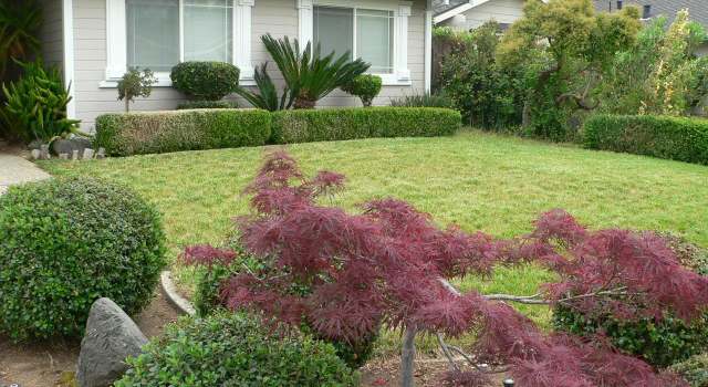 Photo of 8550 Culp Dr, Gilroy, CA 95020