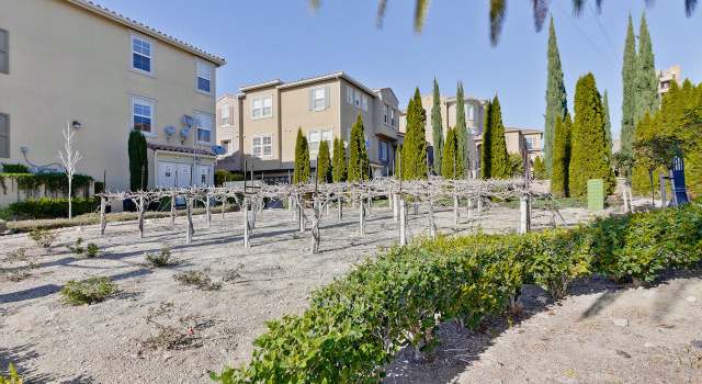 Photo of 445 CASSELINO Dr, San Jose, CA 95136