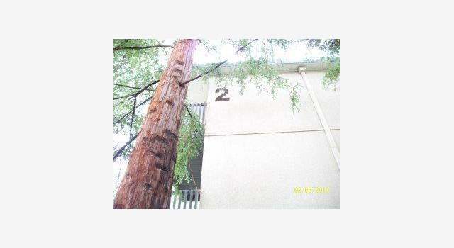 Photo of 2134 SHELTER CREEK Ln #2134, San Bruno, CA 94066