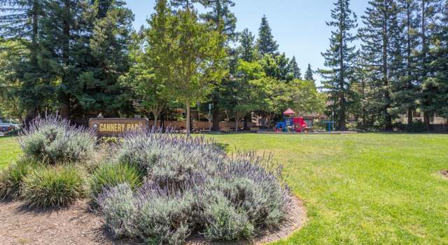 Photo of 980 Belmont Ter #3, Sunnyvale, CA 94086
