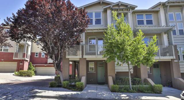 Photo of 3126 Briza Dr, San Jose, CA 95135