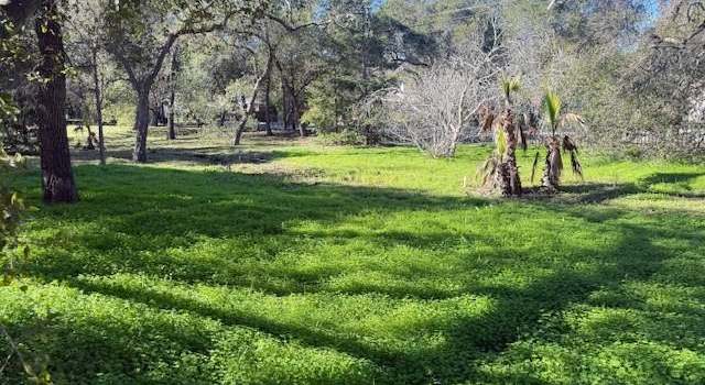 Photo of 14771 Montalvo Rd, Saratoga, CA 95070
