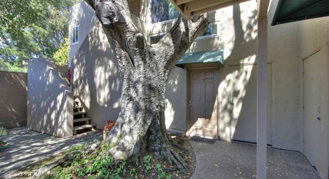 Photo of 1919 ALAMEDA DE LAS PULGAS #162, San Mateo, CA 94403