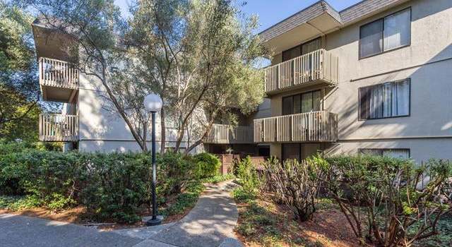 Photo of 7146 Shelter Creek Ln, San Bruno, CA 94066