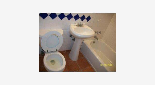 Photo of 447 LINCOLN Ave, Alameda, CA 94501