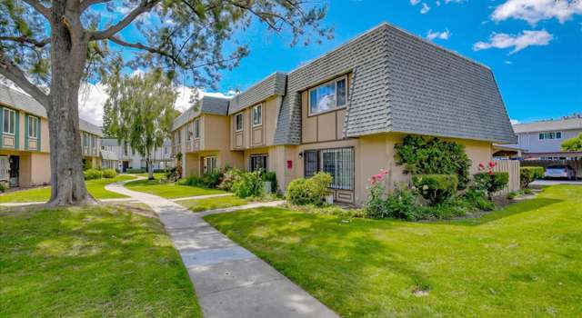 Photo of 288 Palacio Royale Cir, San Jose, CA 95116