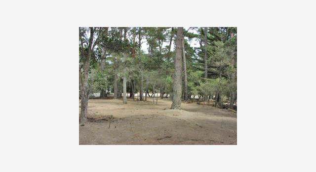 Photo of 279 MAR VISTA Dr, Monterey, CA 93940