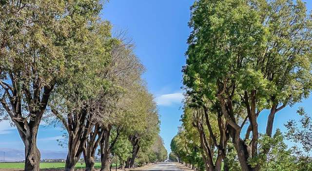Photo of 112 1st St, Spreckels, CA 93962