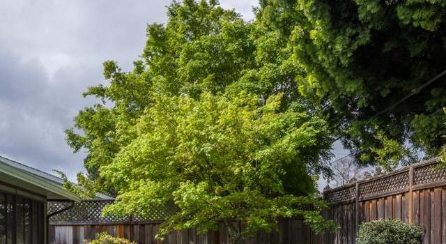 Photo of 1577 Alisal Ave, San Jose, CA 95125