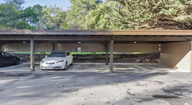 Photo of 3392 Brittan Ave #7, San Carlos, CA 94070