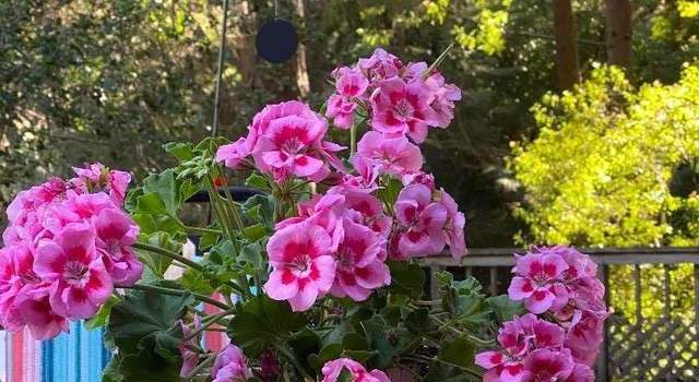 Photo of 455 Hawks Hill Rd, Scotts Valley, CA 95066