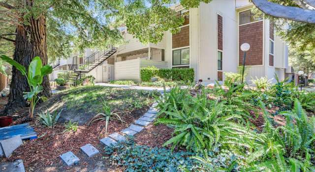 Property at 3830 Panda Ln, SAN JOSE, CA 95117, 3 beds, 2 baths