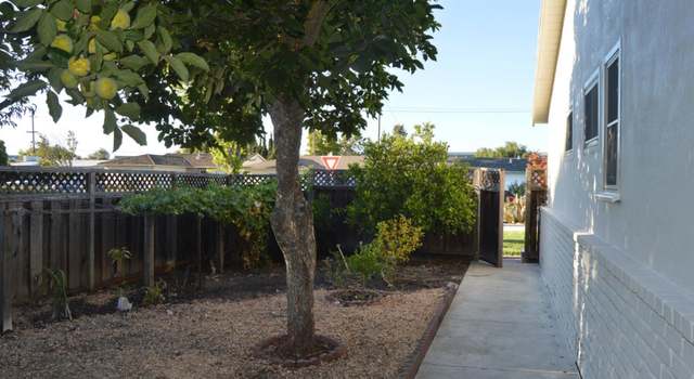 Photo of 1695 Spring St, Mountain View, CA 94043