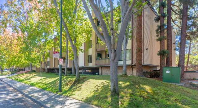 Photo of 2111 Latham St #303, Mountain View, CA 94040