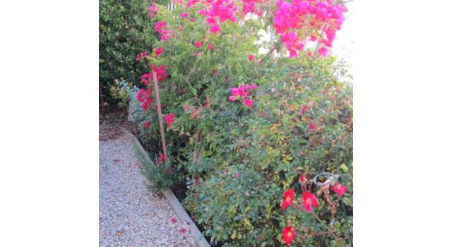Photo of 1040 38th Ave #47, Santa Cruz, CA 95062