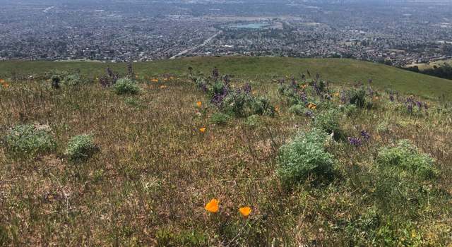 Photo of 0 Higuera, San Jose, CA 95148