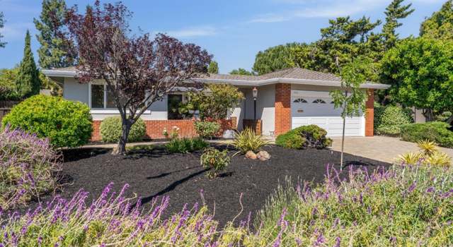 Photo of 1410 Thunderbird Ave, Sunnyvale, CA 94087