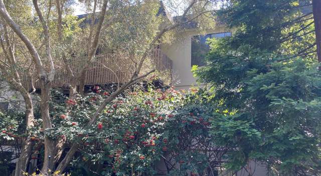 Photo of 6329 Shelter Creek Ln, San Bruno, CA 94066