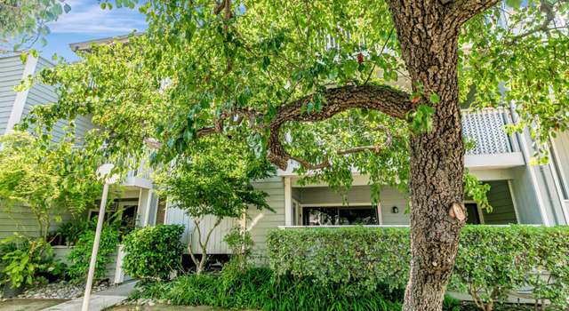 Photo of 3550 Buttonwood Ter #113, Fremont, CA 94536
