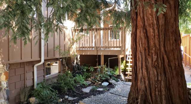 Photo of 243 Windsor Dr, San Carlos, CA 94070