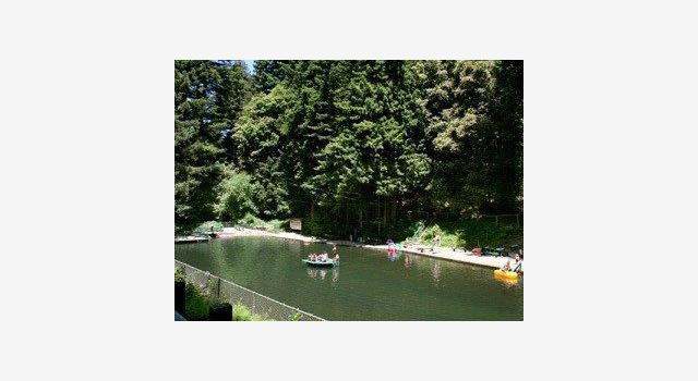 Photo of 950 FERN Ave, San Lorenzo Valley, CA 95018
