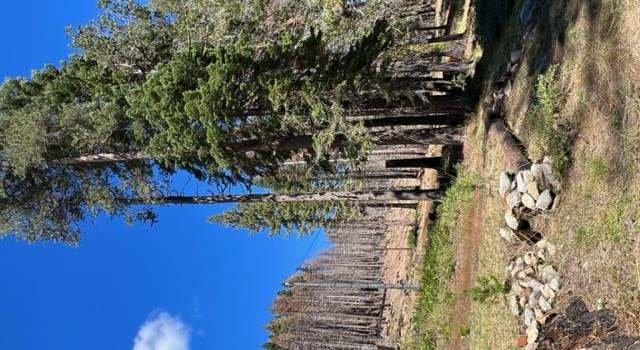 Photo of 127 46 Mile Stone,  Highway 50, Echo Lake, CA 95721