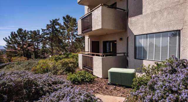 Photo of 21103 Gary Dr #105, Castro Valley, CA 94546
