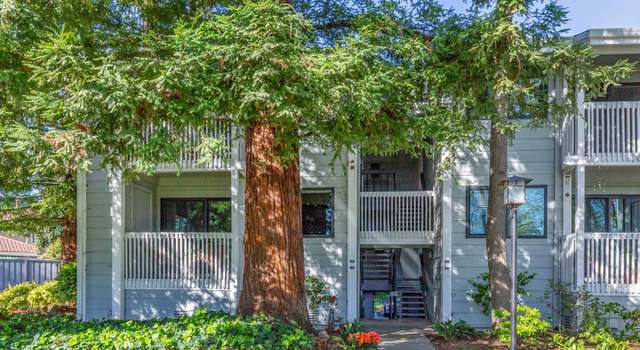 Photo of 938 Clark Ave #7, Mountain View, CA 94040