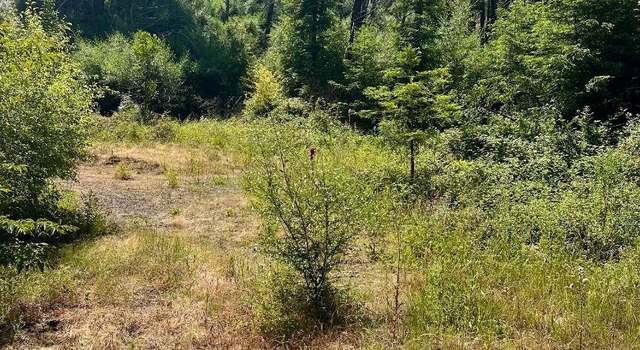 Photo of 678 Swanton Rd, Davenport, CA 95017