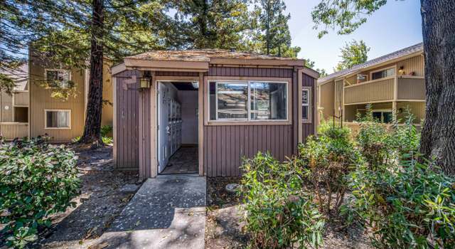 Photo of 37272 Spruce Ter, Fremont, CA 94536