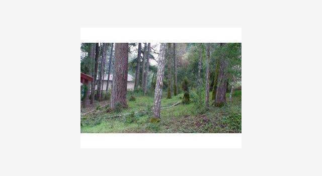 Photo of 865 FELTON EMPIRE Rd, San Lorenzo Valley, CA 95018