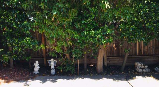 Photo of 2158 Flint Ave, San Jose, CA 95148