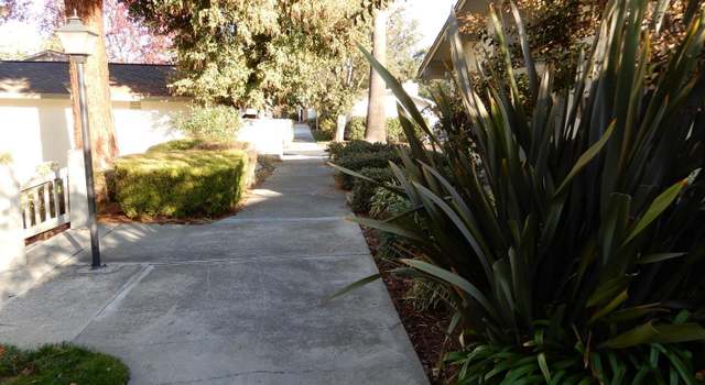 Photo of 5338 Cribari Gln, San Jose, CA 95135
