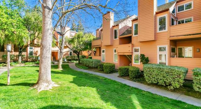 Photo of 259 Sumba Ct, San Jose, CA 95123