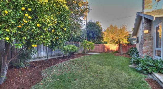 Photo of 3011 MARK Ave, Santa Clara, CA 95051